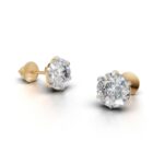 Avarta Jewellery Gold 2 Carat Each Moissanite Solitaire Stud Earrings