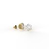 Avarta Jewellery 92.5 Sterling Silver 1.50 Carat Each Solitaire Stud Earrings With Gold Polish for Girls & Women
